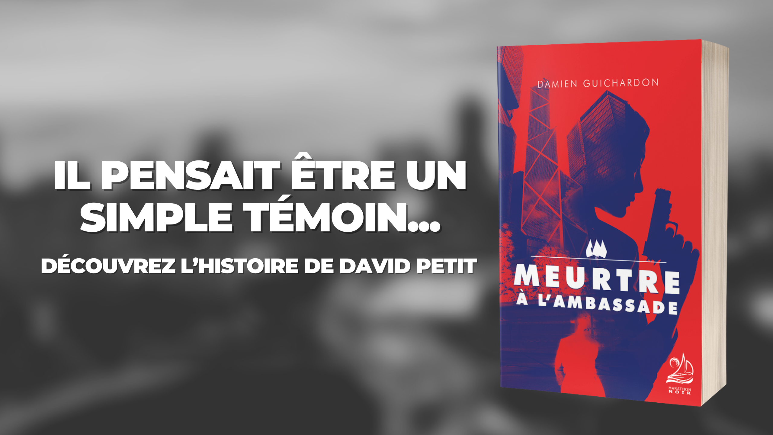 Charger la vidéo : Book Trailer Damien Guichardon